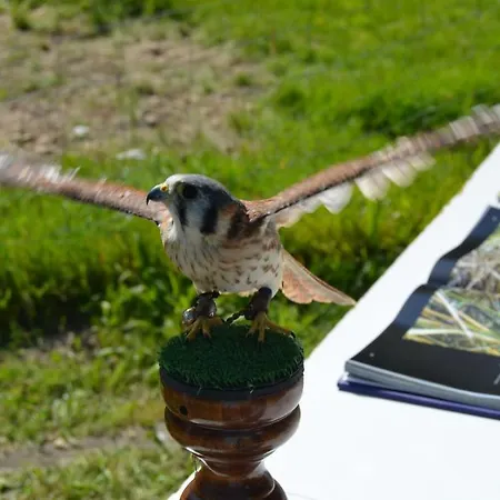 Hotel Restaurante 2*