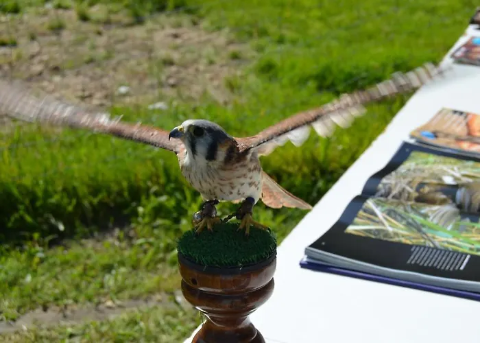 Hotel Restaurante 2*